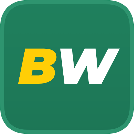 BetWinner Mobile App An Overview of Features and Benefits