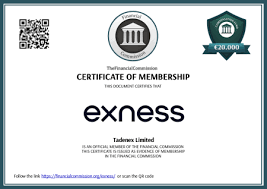 Exness VPS Review Unleashing the Power of Trading